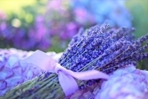 Olio essenziale di lavanda