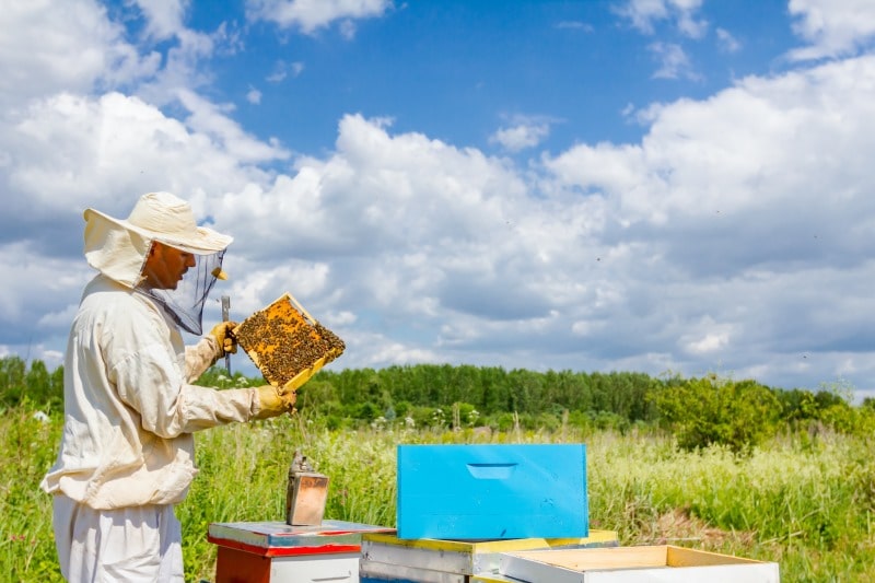 KSTE Miele Valve 1 PC Di Acciaio Inossidabile Valvola A Saracinesca, Apicoltura Strumento Estrattore, Imbottigliamento, Miele Tap