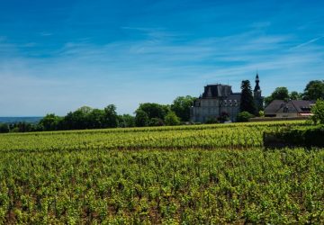 Gevrey-Chambertin