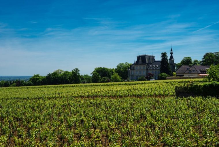 Gevrey-Chambertin