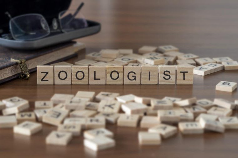 Come diventare zoologo