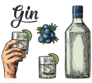 disegno di una bottiglia e dei bicchieri con bacche di ginepro e scritta Gin