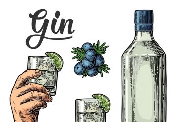 disegno di una bottiglia e dei bicchieri con bacche di ginepro e scritta Gin