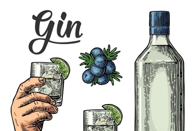 disegno di una bottiglia e dei bicchieri con bacche di ginepro e scritta Gin