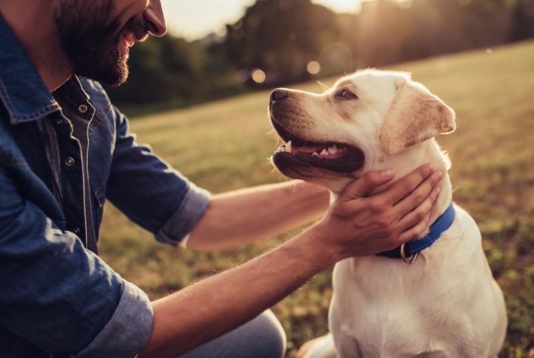 uomo con cane