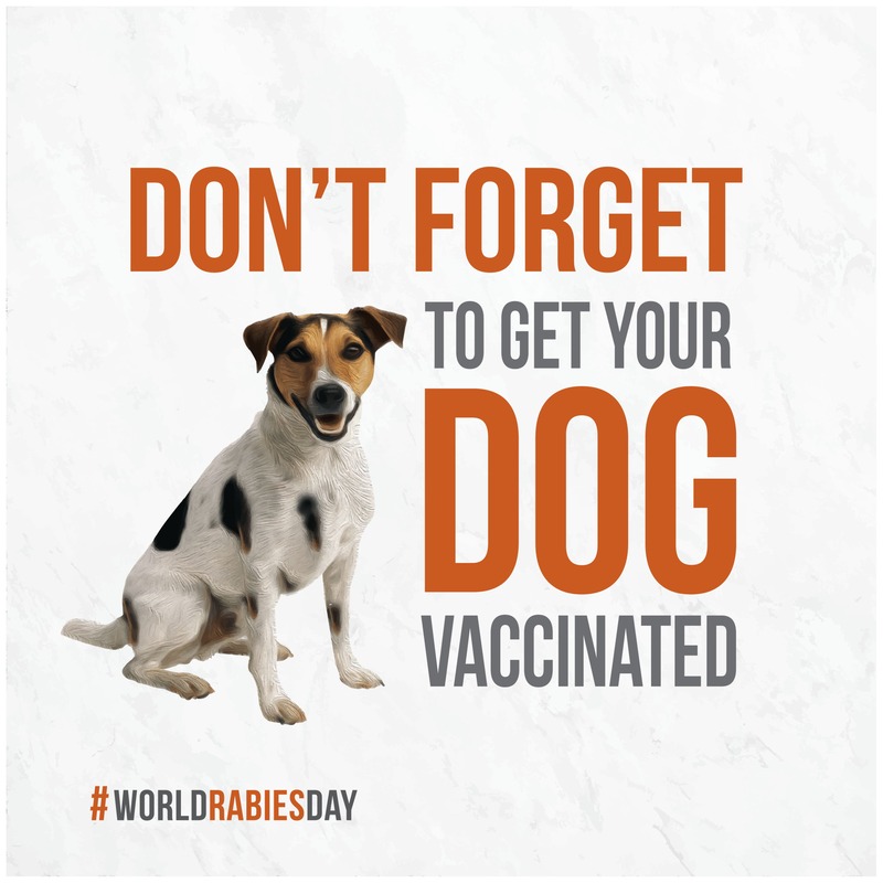 slogan con scritta don't forget to get your dog vaccinated