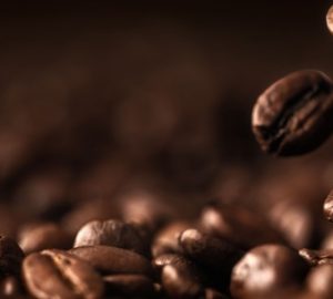 specialty coffee chicchi di caffè