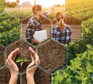 agrivoltaico, immagine di campagna e progettazione