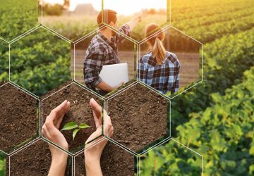 agrivoltaico, immagine di campagna e progettazione