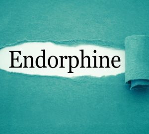 endorfine
