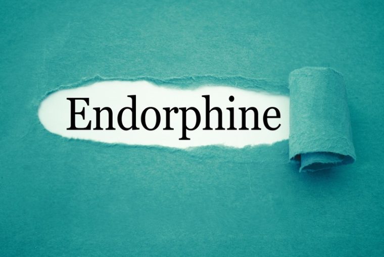 endorfine