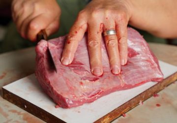 La carne di cavallo divide ancora tra tabù e regole diverse: Immagine dettagliata di mani che, con un coltello, tagliano un…